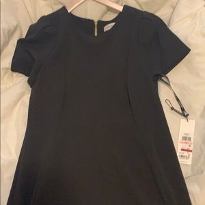 Calvin Klein Work Dress